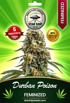 Durban Poison Feminized Marijuana Seeds
