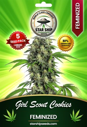 Girl Scout Cookies Strain Feminized Marijuana Seeds