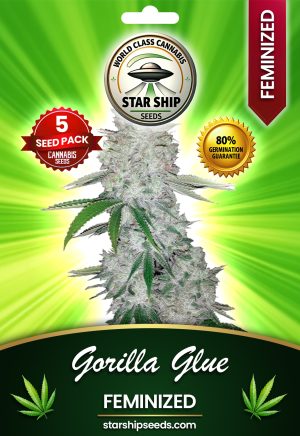 Gorilla Glue Strain Automatic Marijuana Seeds