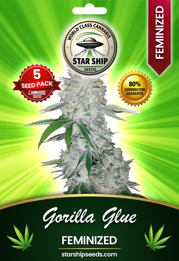 Gorilla Glue Strain Automatic Marijuana Seeds