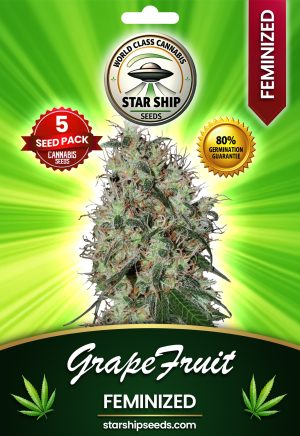 Grapefruit Strain Feminized Marijuana Seeds