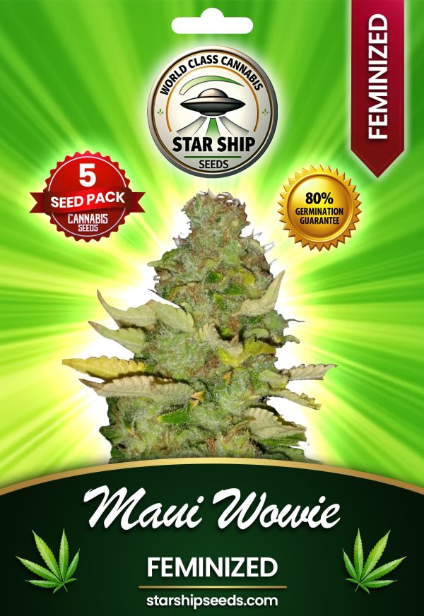Maui Wowie Strain Feminized Marijuana Seeds