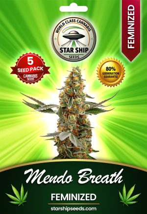 Mendo Breath Feminized Marijuana Seeds
