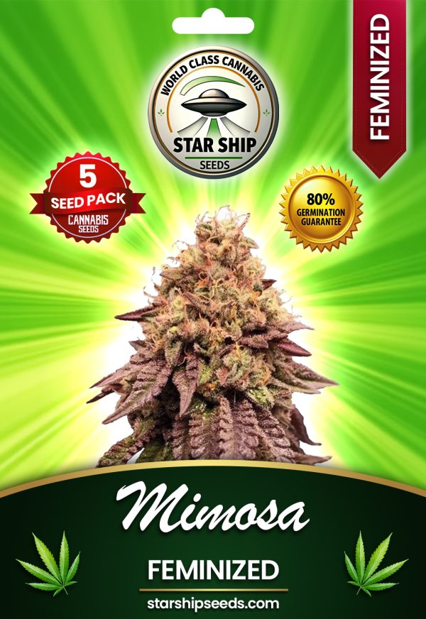Mimosa Strain Feminized Marijuana Seeds