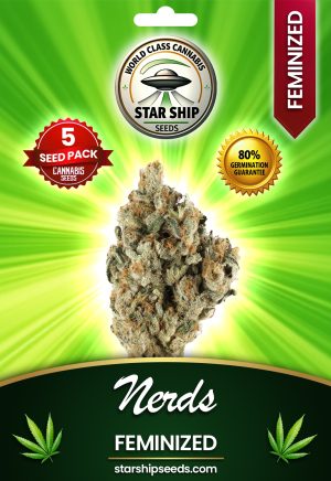Nerds Feminized Marijuana Seeds