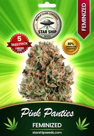 Pink Panties Feminized Marijuana Seeds