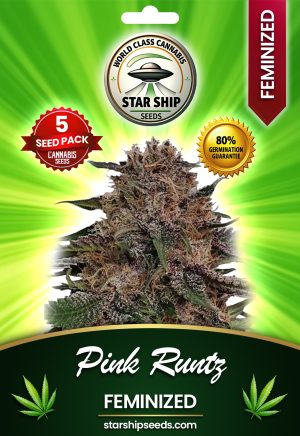 Pink Runtz Feminized Marijuana Seeds