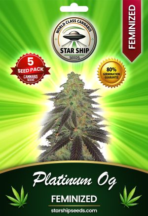 Platinum OG Feminized Marijuana Seeds