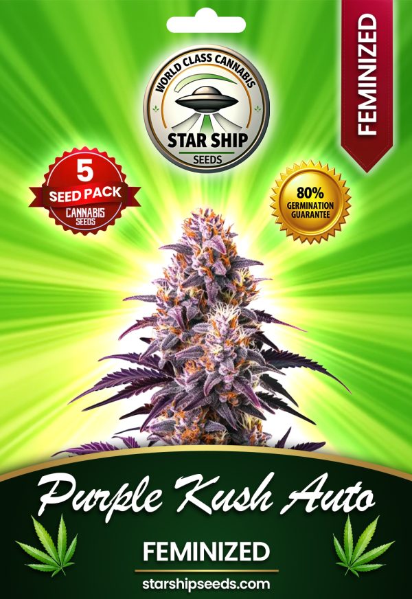 Purple Kush Autoflowering Strain Marijuana Seeds