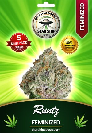 Runtz Feminized Marijuana Seeds