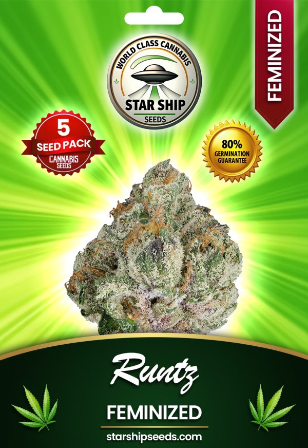 Runtz Feminized Marijuana Seeds
