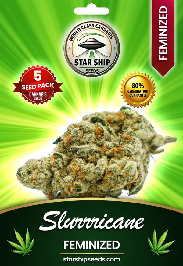 Slurricane Strain Feminized Marijuana Seeds