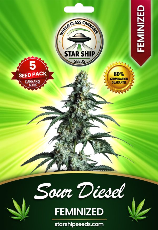 Tangie Cookies Strain Feminized Marijuana Seeds