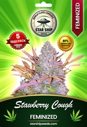 Strawberry Cough Strain Feminized Marijuana Seeds