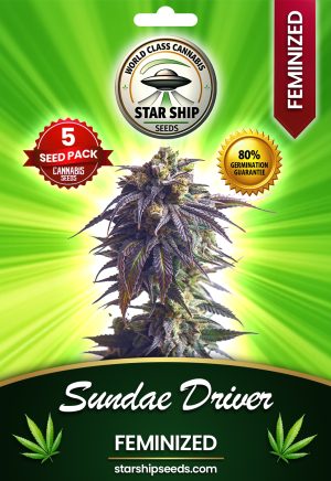 Sundae Driver Strain Feminized Marijuana Seeds