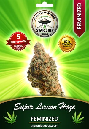 Super Lemon Haze Strain Feminized Marijuana Seeds