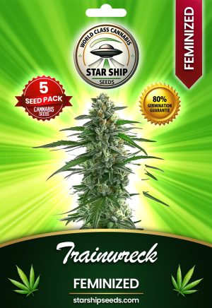 Trainwreck Strain Feminized Marijuana Seeds
