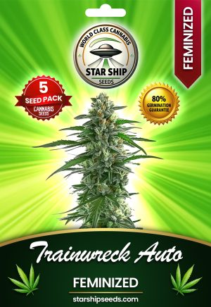 Trainwreck Strain Autoflowering Marijuana Seeds