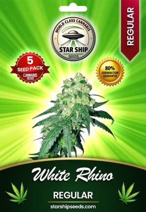 White Rhino Regular Marijuana Seeds
