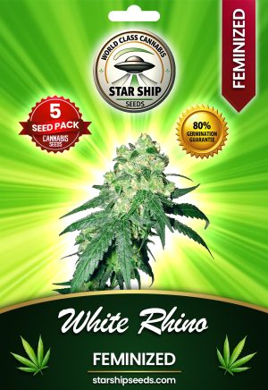 White Rhino Feminized Marijuana Seeds