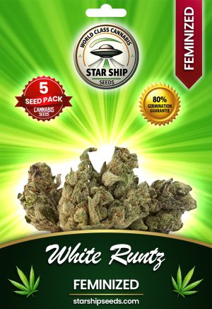 White Runtz Strain Feminized Marijuana Seeds