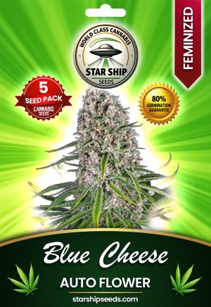 Blue Cheese Autoflowering Marijuana Seeds