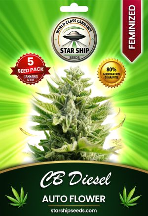 CBD Diesel Autoflowering Marijuana Seeds