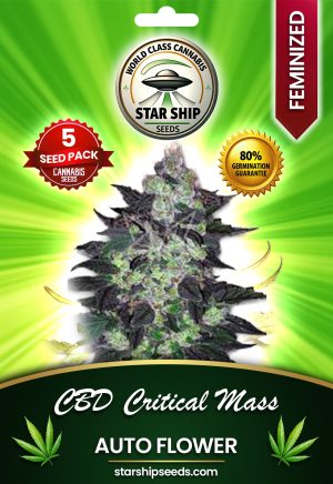 CBD Critical Mass Autoflowering Marijuana Seeds