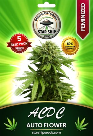 CBD ACDC Strain Autoflowering Marijuana Seeds