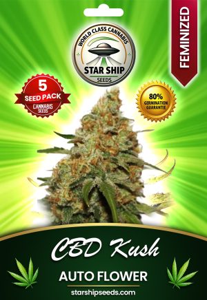 CBD Kush Autoflowering Marijuana Seeds