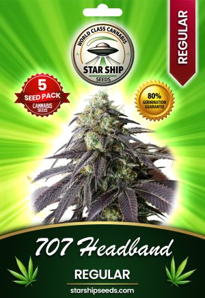707 Headband Strain Regular Marijuana Seeds