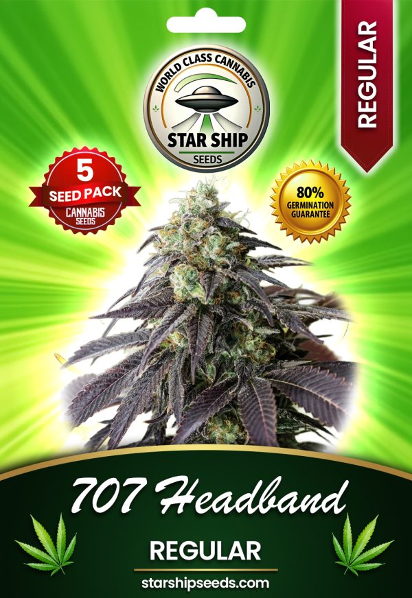 707 Headband Strain Regular Marijuana Seeds
