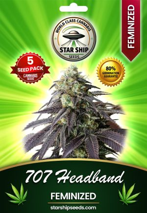 707 Headband Strain Feminized Marijuana Seeds