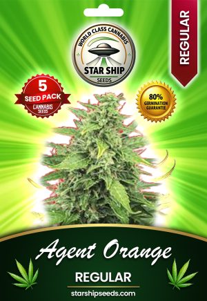 Agent Orange Strain Regular Marijuana Seeds
