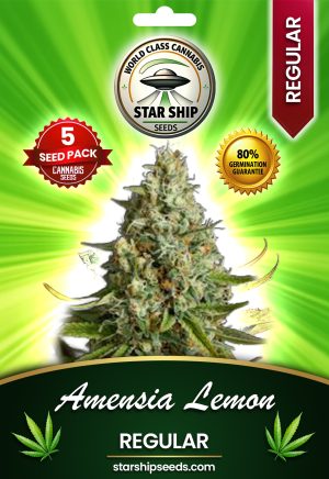 Amnesia Lemon Strain Regular Marijuana Seeds