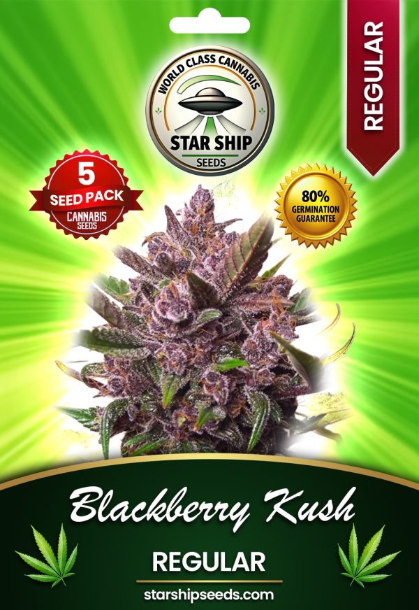 Blackberry Kush Regular Marijuana Seeds