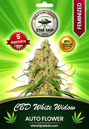 CBD White Widow Autoflowering Marijuana Seeds