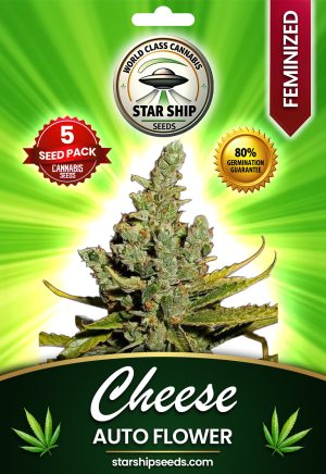 Cheese Strain Autoflowering Marijuana Seeds