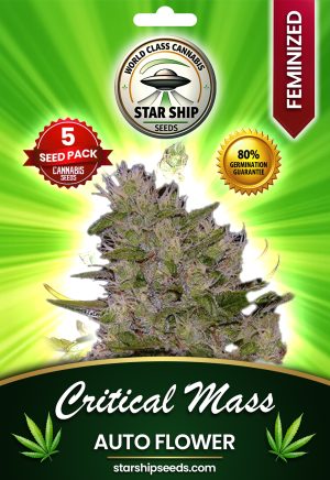 Critical Mass Strain Autoflowering Marijuana Seeds
