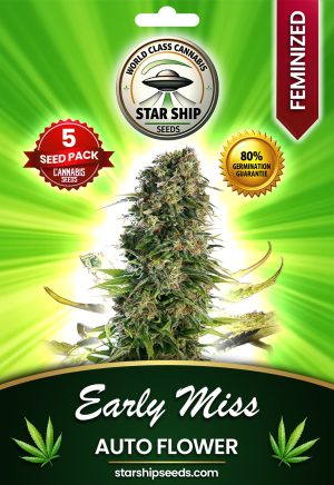 Early Miss Autoflowering Marijuana Seeds