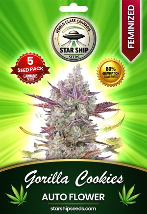 Gorilla Cookies Autoflowering Marijuana Seeds