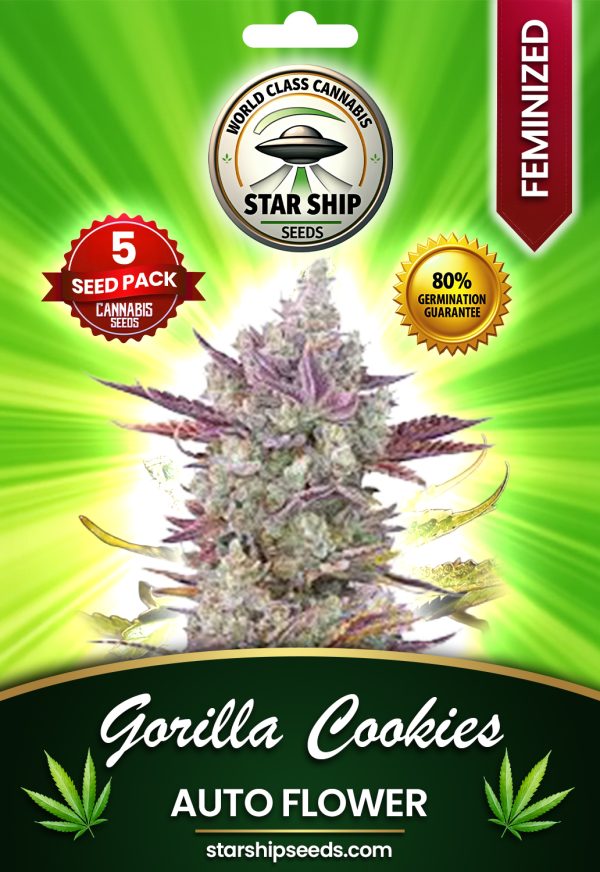 Gorilla Cookies Autoflowering Marijuana Seeds