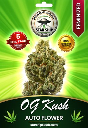 OG Kush Strain Autoflowering Marijuana Seeds