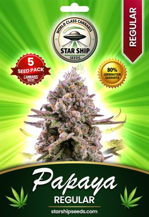 Papaya Strain Regular Marijuana Seeds