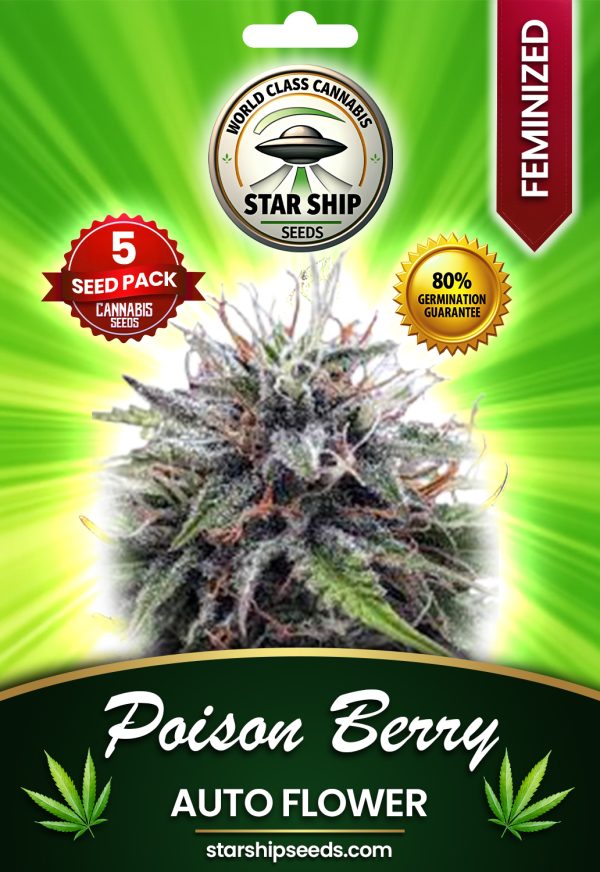 Poison Berry Strain Autoflowering Marijuana Seeds