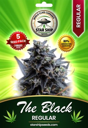 The Black Strain Regular Marijuana Seeds