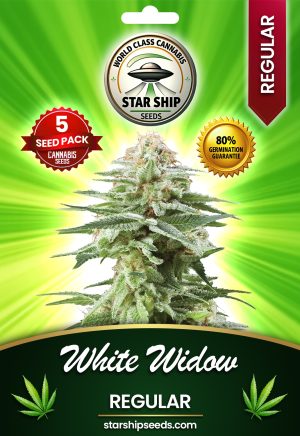 White Widow Regular Marijuana Seeds