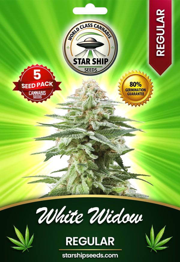 White Widow Regular Marijuana Seeds