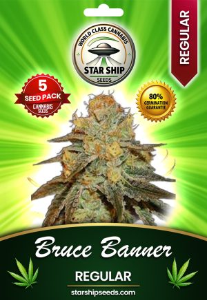 Bruce Banner Strain Regular Marijuana Seeds