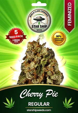 Cherry Pie Strain Regular Marijuana Seeds